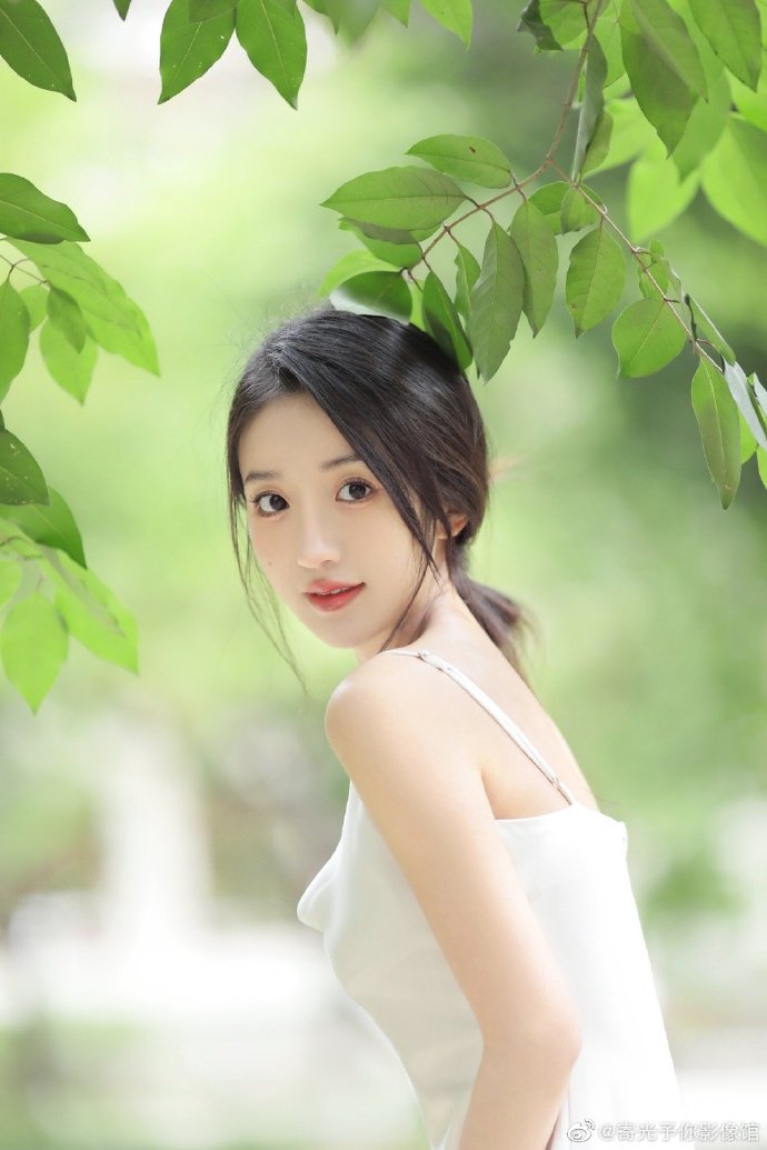 沙丘：预言 封面